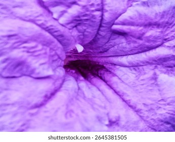 Close  up Una