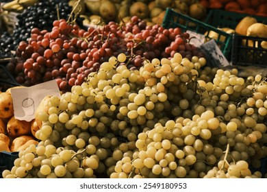 Close-up of vibrant bunches of red and green grapes at a farmer's market. Sunlight illuminates the juicy fruit, showcasing their texture and color.Perfect for healthy eating and fresh produce concepts - Powered by Shutterstock