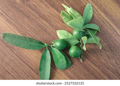 A close-up of a vibrant green citrus branch featuring several small limes attached to fresh leaves, placed on a textured wooden surface. The contrasting colors of the green fruits. - Powered by Shutterstock