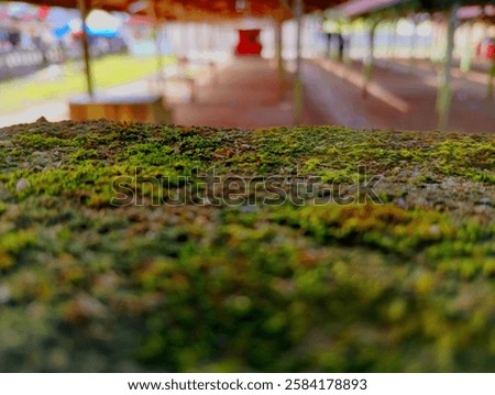 Similar – Image, Stock Photo Cobblestone with moss, autumnal