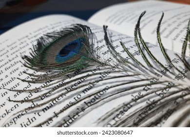 A close-up of a vibrant peacock feather resting gracefully upon the open pages of a book.
