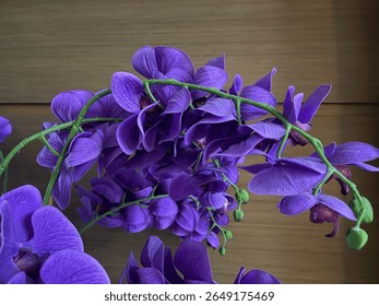 Primer plano vibrantes orquídeas