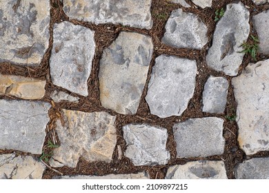 Close-up View From Above Of A Cobblestone Road. Gray Paving Stones With Brown Ground And Dry Needles Between. Full Frame Image, Texture Or Background For Design, Copy Space