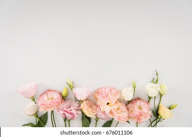 花 シンプル の写真素材 画像 写真 Shutterstock