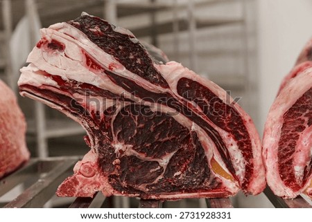 Closeup view of black angus primal cut. Production of big meat factory with processing line and slaughterhouse.