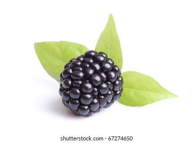 Mure Fruit Images Stock Photos Vectors Shutterstock