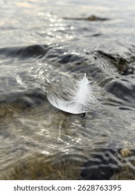 Close-up view capturing a delicate white feather gently floating on the surface of rippling water, creating intricate patterns and shimmering reflections in a tranquil setting