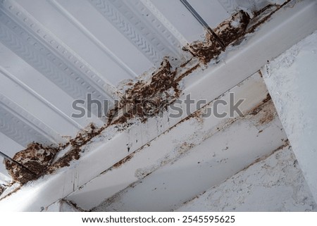 Close-up view of a ceiling with rust damage, showing the extent of corrosion on the metal beams. Rust damage on a metal ceiling Time for a repair