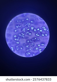 Close-up view of cells under a microscope with vibrant blue and purple hues, showcasing intricate biological structures. Perfect for scientific, medical, or educational concepts.