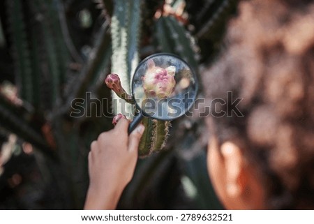 Close-up view of a child using a magnifying glass to examine a cactus flower in a tropical botanical garden. The image represents eco education, scientific inquiry, biodiversity exploration, environmental literacy, nature observation, and hands-on outdoor learning.