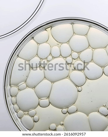 a close-up view of a clear, circular dish, likely a petri dish, containing a collection of transparent, bubble like structures