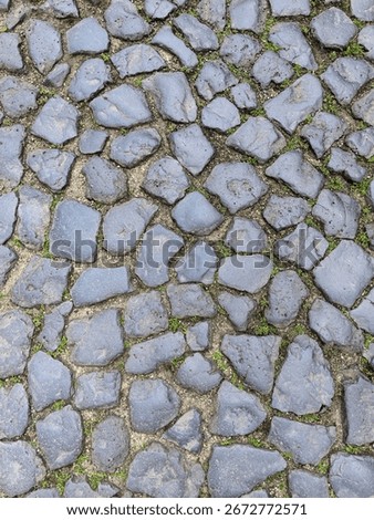 A close-up view of a cobblestone pathway showcasing a mix of gray stones and vibrant green moss. This urban setting invites exploration and a sense of tranquility amidst city life.