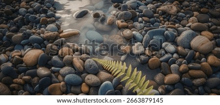 A close-up view of a collection of smooth, rounded river stones partially submerged in clear, shallow water. A vibrant green fern frond rests among the stones.