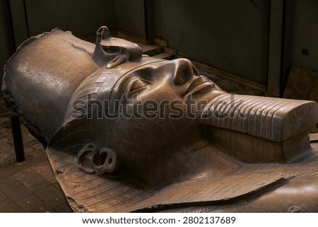 Close-up View of the Colossal Limestone Statue Face of Pharaoh Ramesses II, Memphis