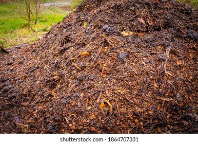 Close-up View Of Compost Layers Added To Hügelkultur Bed During The Building Process