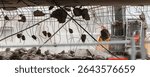 Close-up view of crumbling bridge structure demolition in Magdeburg Damaschkeplatz  exposed steel rebar falling concrete chunks. Rubble piles and demolition machinery emphasize destruction progress