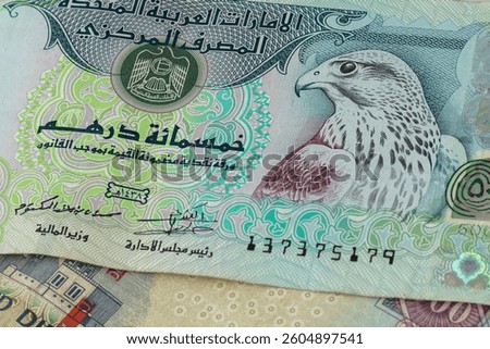Close-up view of currency notes showcasing unique designs representing the heritage of the United Arab Emirates. The falcon motif emphasizes cultural significance, highlighting national identity.