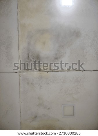 A close-up view of a damaged ceiling with dark mold patches, moisture stains, and visible panel gaps. The surface shows signs of prolonged humidity and water leakage, highlighting poor ventilation and