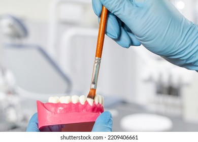 Close-up View Of Dentist's Hands In Latex Gloves With The Layout Of The Human Jaw And The Brush. Dental Office On The Background. Medical Tools Concept.