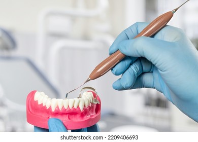 Close-up View Of Dentist's Hands In Latex Gloves With A Layout Of The Human Jaw And A Dental Restoration Instrument. Dental Office On The Background. Medical Tools Concept.