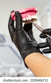 Close-up View Of Dentist's Hands In Latex Gloves With The Layout Of A Human Jaw And The Plugger. Dental Office On The Background. Medical Tools Concept.