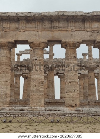 Close-up view of Doric columns at ancient Greek temple, Paestum, Italy