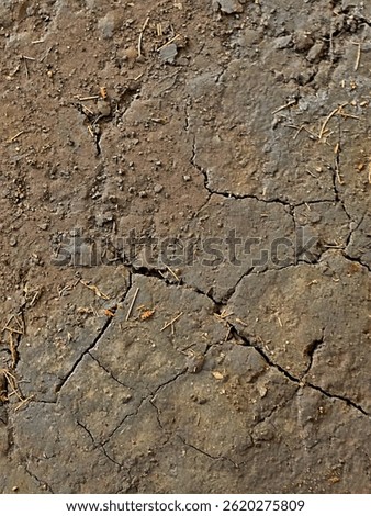 Close-up view of dry, cracked soil during drought season, highlighting climate change effects and environmental degradation. Natural texture of arid land surface with visible cracks and minimal plant 