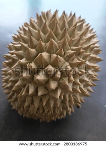 Close-up view of a durian fruit shell displaying sharp spikes and natural geometric texture