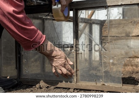 A close-up view of an elderly hand using tape to fix a cracked glass panel on a wooden garden frame, reflecting DIY home repair, rural life, aging, thriftiness, and agricultural preparation