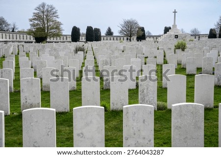 Close-up view of endless rows of white stone headstones at Tyne Cot Cemetery. The manicured green lawn with small spring flowers honors the fallen of the Great War in an atmosphere of deep respect and Flemish solemnity.
