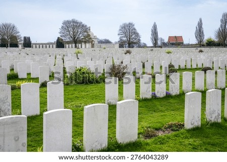 Close-up view of endless rows of white stone headstones at Tyne Cot Cemetery. The manicured green lawn with small spring flowers honors the fallen of the Great War in an atmosphere of deep respect and Flemish solemnity.