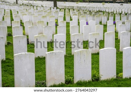 Close-up view of endless rows of white stone headstones at Tyne Cot Cemetery. The manicured green lawn with small spring flowers honors the fallen of the Great War in an atmosphere of deep respect and Flemish solemnity.