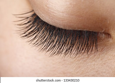 Closeup View Of Eye Lashes