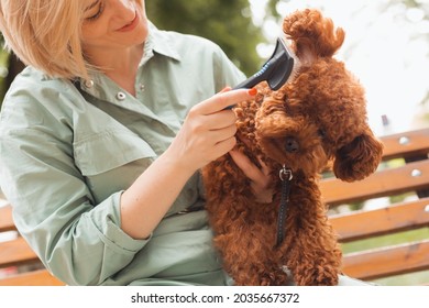 7,038 Women poodles Images, Stock Photos & Vectors | Shutterstock