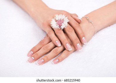 close-up view of female hands with perfect manicure and beautiful flower on white
