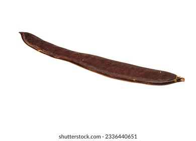 Close-up view of flame tree seed pot on white background isolated. 