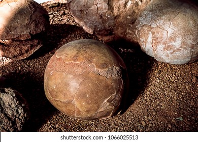 Closeup View of Fossilized Dinosaur Eggs.