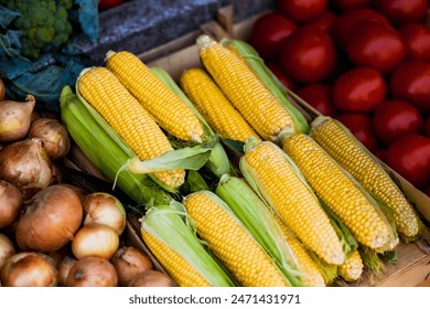 Close-up view of fresh corn cobs and onions at a farmers market, showcasing vibrant colors and natural freshness. - Powered by Shutterstock