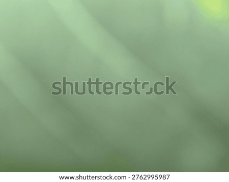 Close-up view of Fresh Green Gradient Blur with Soft Sunlight, for Eco Friendly Background