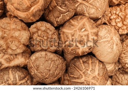 Close-up view full frame background of dried mushrooms stacked together. Texture background
