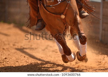 The close-up view of galloping horse on the arena on the red clay 