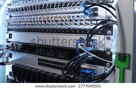 Close-Up View of High-Density Network Patch Panel and Server Rack Cabling in Data Center
