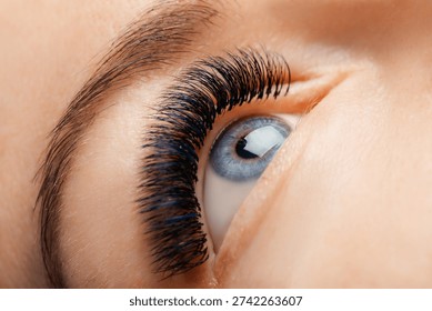 Close-up view of a human eye featuring long eyelashes and a blue iris, highlighting the skin texture and hair details around the eye