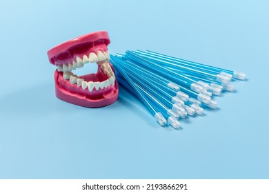 Close-up View Of The Human Jaw Layout With Saliva Ejectors On The Blue Background.