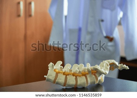 Close-up view of human lumbar spine model on the table in medical office. Stethoscope and reflex hammer in labcoat on background