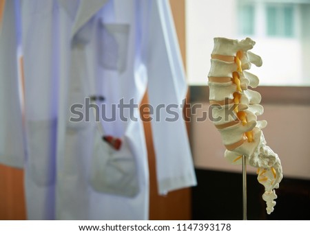 Close-up view of human lumbar spine model on the table in medical office. Stethoscope and reflex hammer in labcoat on background