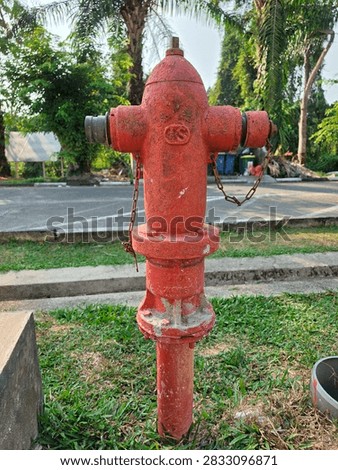 Close-up view of A Hydrant in the park