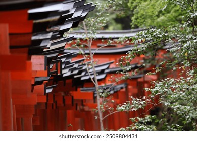 Close-up view of the iconic red torii gates at Fushimi Inari Shrine in Kyoto, Japan. The black accents on the gates and the lush green foliage create a striking contrast, highlighting the beauty. - Powered by Shutterstock