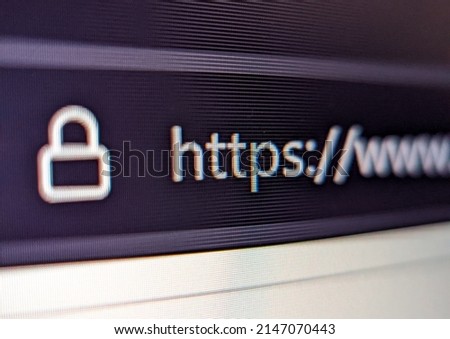 Closeup view of internet browser address bar with security lock icon and url text