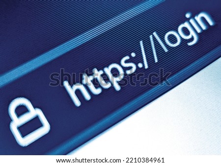 Closeup view of an internet web browser with a secure URL displayed on a pixelated screen in blue